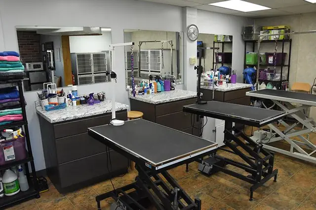 The grooming room at Shear Bliss: hydraulic tables in front of counters lined with shampoos, conditioners and brushes